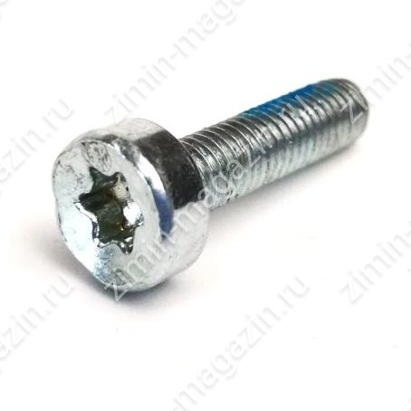 Шлицевой винт M5X20 (для затяжки уплотнителя воздушной заслонки, крышки маховика, пускателя отдачи