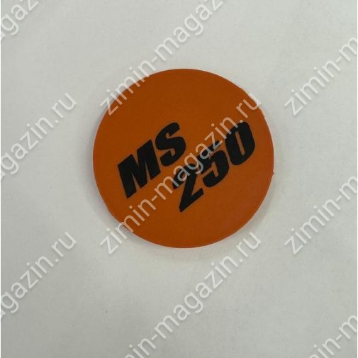 Фирменная табличка MS 250