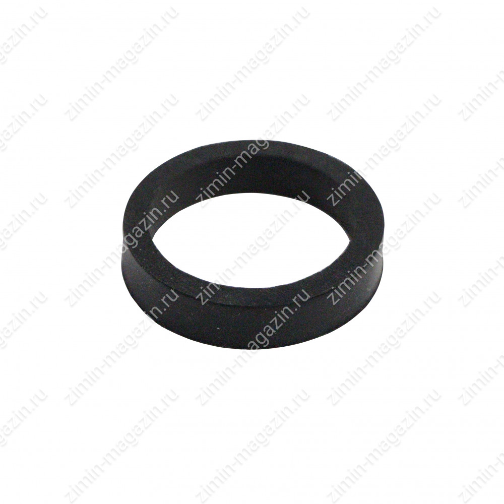 Sealing ring