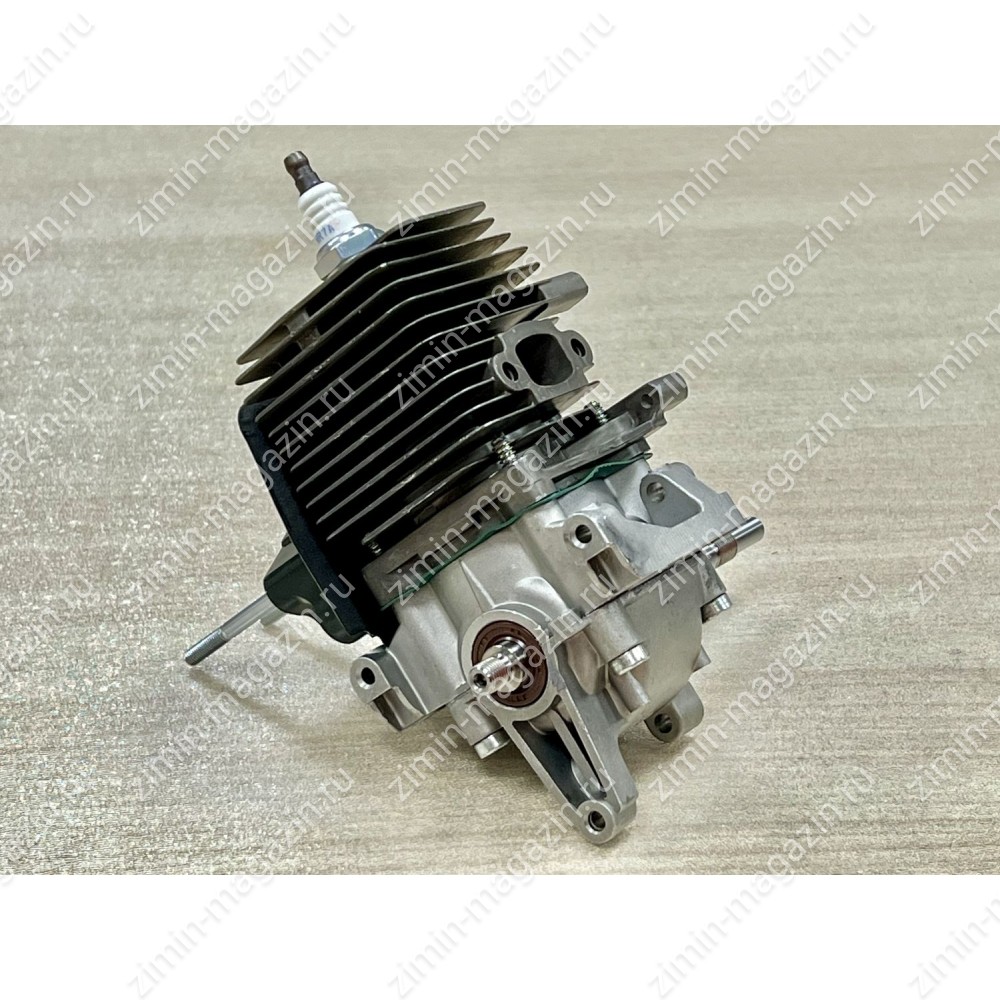 Двигатель для ZimAni FS55 / Holzfforma FF55