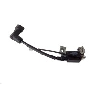 Катушка зажигания LC1P65FE-2/270920421-0001