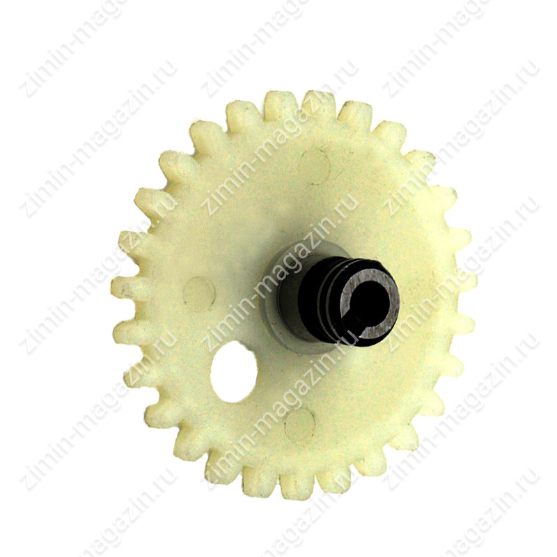 Worm Gear