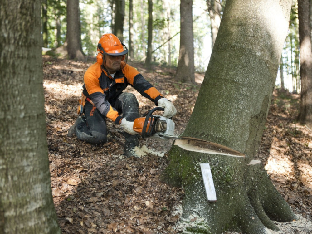 Магазин Stihl - мотопилы Магазин Stihl - мотопилы
